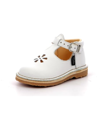 Aster Bimbo-2, Salomés Mixte,