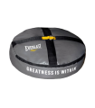 Everlast Double End Heavy Bag Anchor by