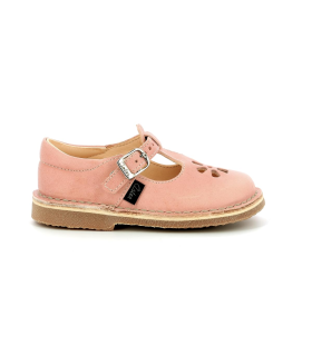 Aster Dingo-2, Salomés Mixte,