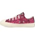 Converse All Stars Chuck Taylor 670461C